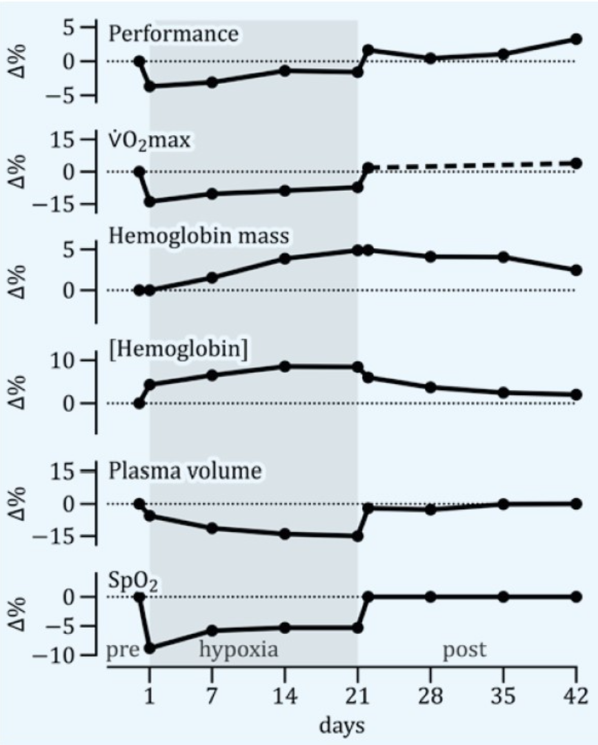 Wissenschaftliche Studien Höhentraining — Verlauf Hämoglobin, VO₂max, Performance